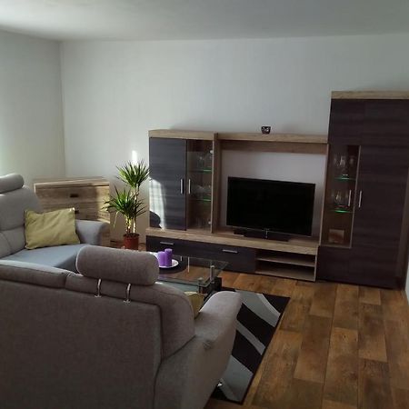 Apartman Pod Rickami Daire Rokytnice v Orlických Horách Dış mekan fotoğraf