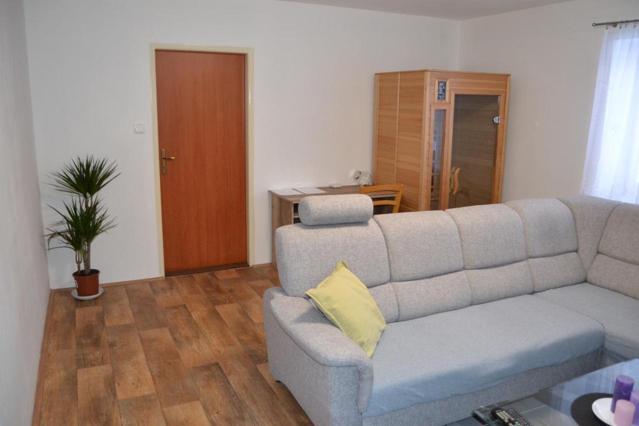 Apartman Pod Rickami Daire Rokytnice v Orlických Horách Dış mekan fotoğraf